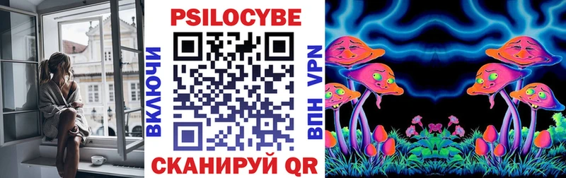 kraken ссылки  Шахунья  Псилоцибиновые грибы Magic Shrooms  где можно купить  