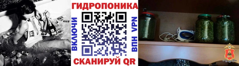 цена наркотик  Шахунья  Бошки марихуана сатива 